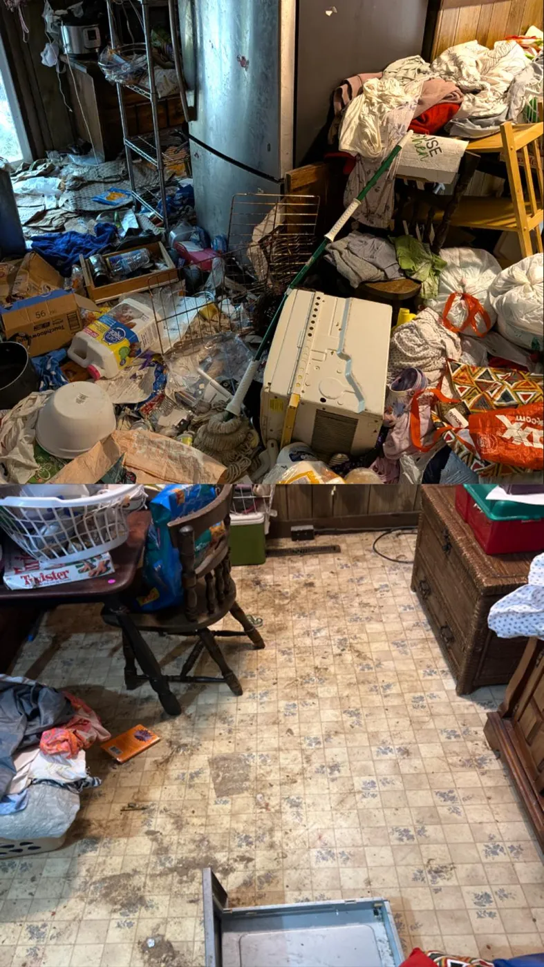 Property cleanout